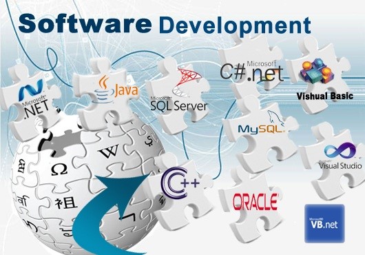 Custom Software development